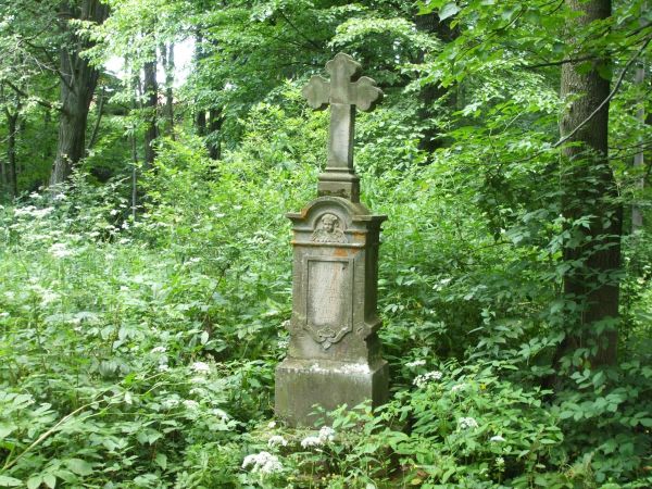 Cerkiew w Króliku Wołoskim została zbudowana w latach 1843-1845 w miejscu starszej, drewnianej świątyni. W latach 1923 oraz 1930 została odnowiona. Po wojnie, p