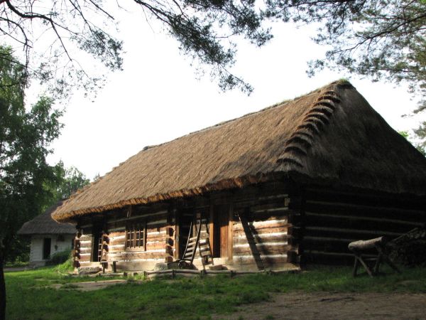 zdjecie Babice