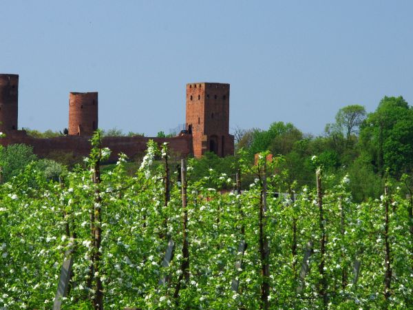 Czersk - ruiny Zamku Książąt Mazowieckich z XIV w.