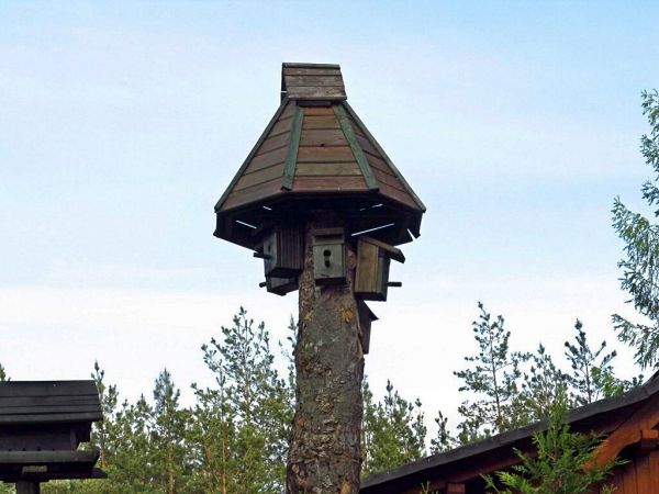 Ptasi hotelik, prawda że pomysłowo?