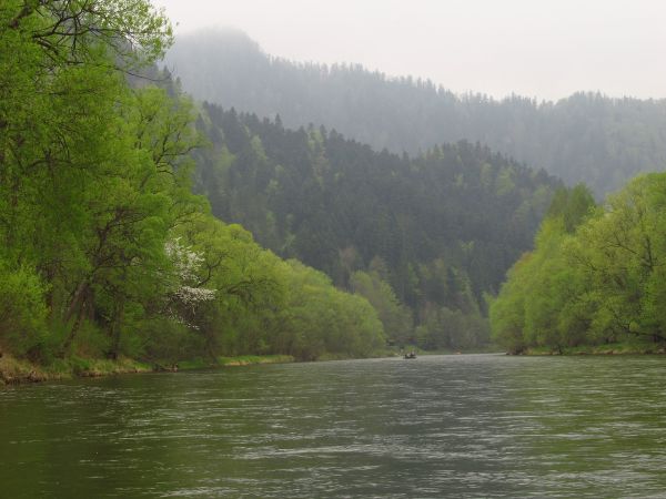 Już w Szczawnicy, Do widzenia Dunajcu.