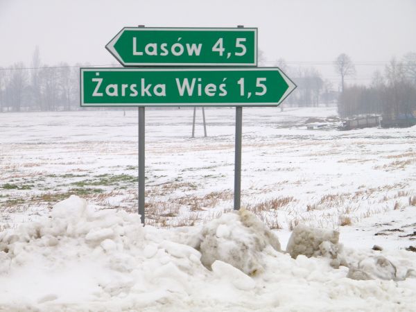 Zima