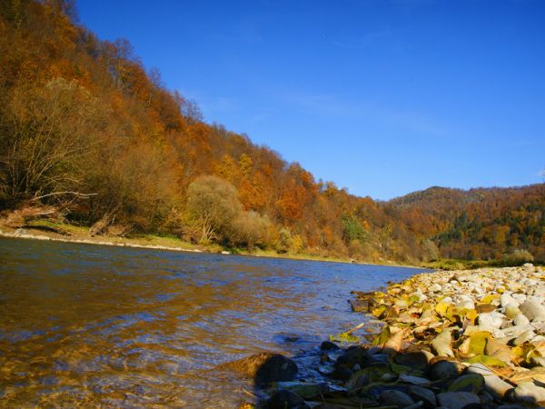 Poprad w okolicach Zubrzyka