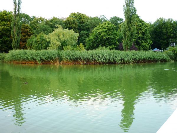 Staw przy Tężniach