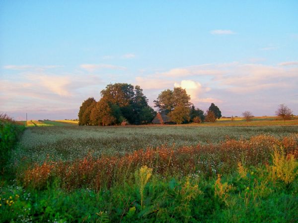 zdjecie Potok Górny