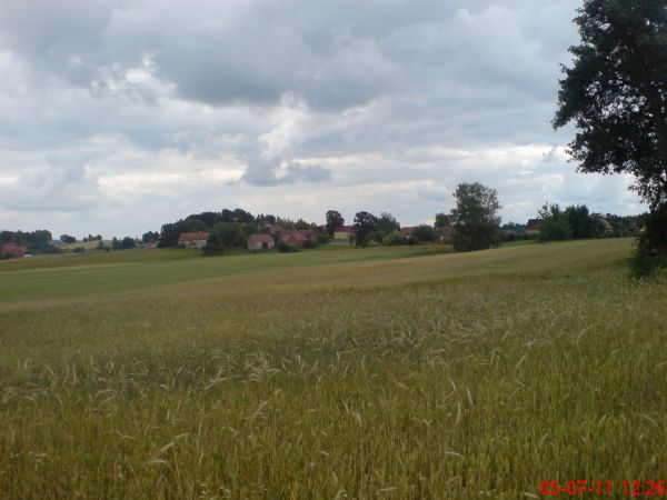 Wesołówka-(widok z drogi Wesołówka-Pisarzowice)