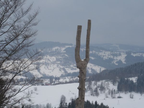 Fot. Ewa Kamila Jabłońska