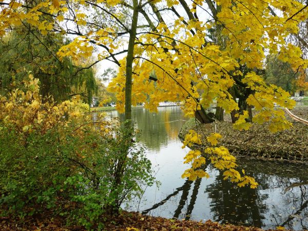 Nałęczowski Park Zdrojowy jesienią.