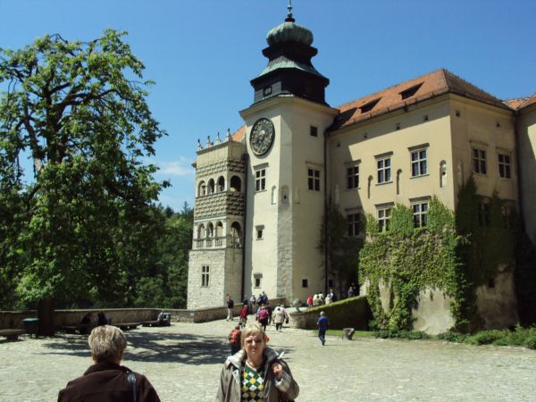 fronton zamkowy. W zamku nie ma komnat, jest wieża bramna i obronna  oraz studnia i resztki murów. W pomieszczeniach : niegdyś komnat - sale wystawiennicze z ek