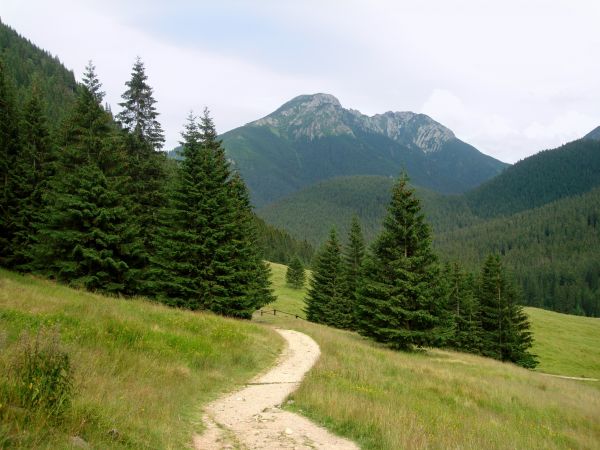 Dolina Chochołowska, Kościelisko