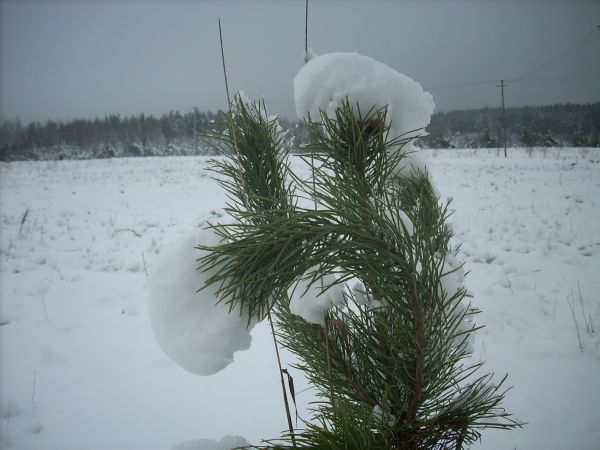 zdjecie Piłatowszczyzna