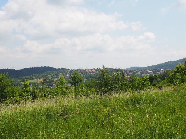 piewca iwonickich krajobrazów Jakub Zakrzewski w XIX wieku pisał m.in. że "Las Dantego" - jak był nazywane ten na g. Piekliska - n/z hen po lewej - stanowi cel