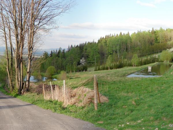 Paszków Widok z góry Marka