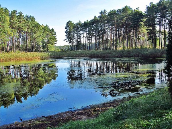 Małe jeziorko przy Szarmachach