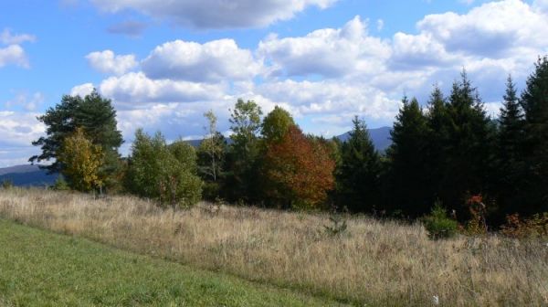 WIDOK w rejonie KONIAKOWA