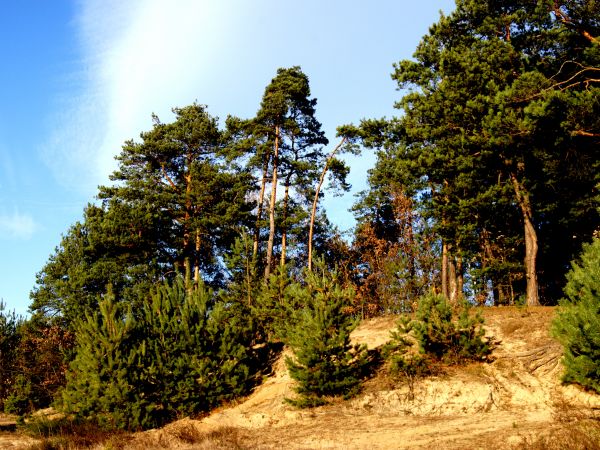 Jesień 2010
    - 1 -