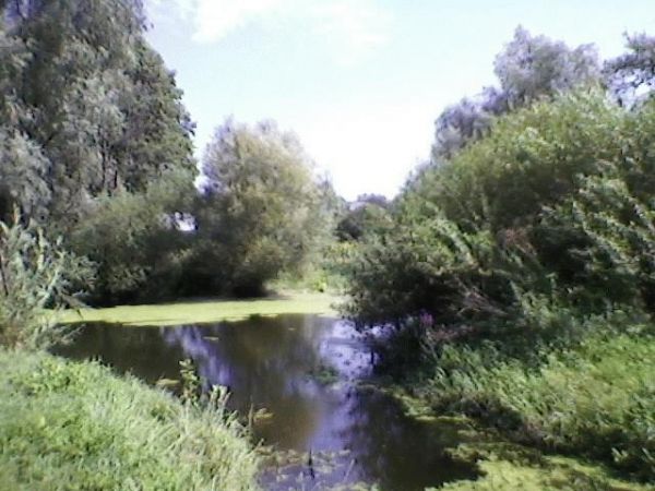 Zakole starego Wieprza