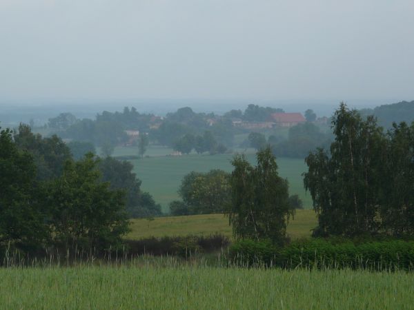 Widok z Wierzyska