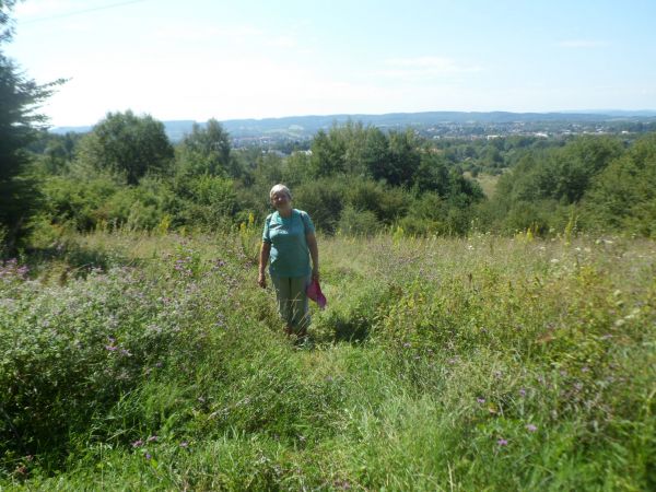 na horyzoncie widzimy Sanok - to już za Doliną Sanu, bliżej są stawy rybackie - są na innych zdjęciach, tu wśród polnych i łąkowych kwiatów oraz ziół w pełnym r