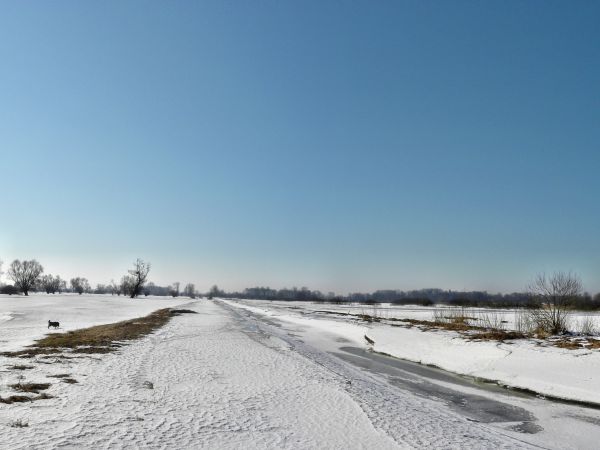 Zdj  wykonano dnia  09 - 03 - 2011 r