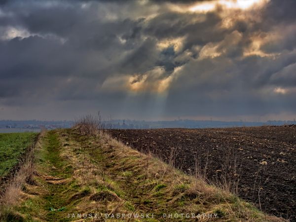 Zdjęcia Siemianowice Śląskie