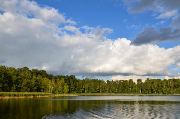 Jesienne Jezioro Tarnowskie Duże