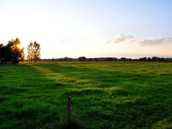 zdjecie Nowa Złotoria