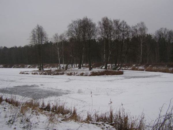 zdjecie Zalesie Górne