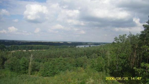 Osieczna - widok z wieży Jagoda