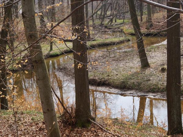 Złoty Stok- bardzo malownicze miejsce