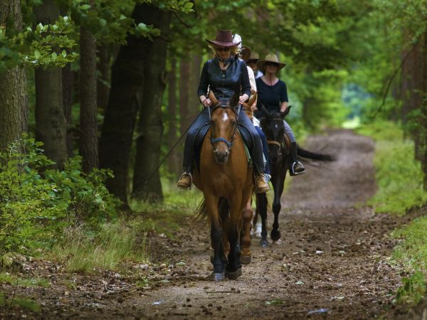 Szlaki konne Borów Dolnośląskich -okolice Kliczkowa