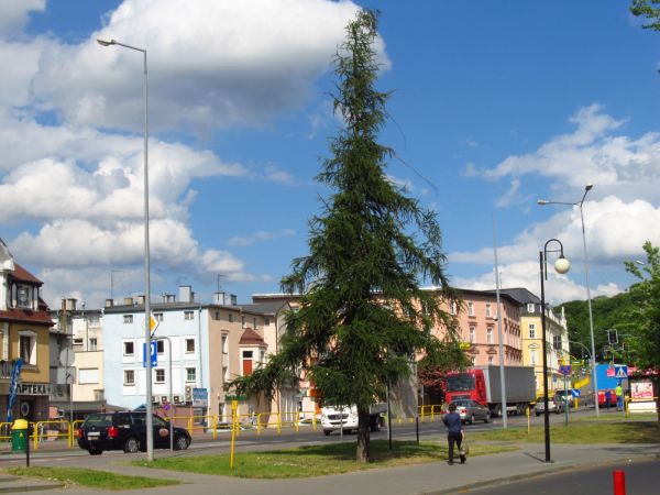 Przy parkingu miejskim