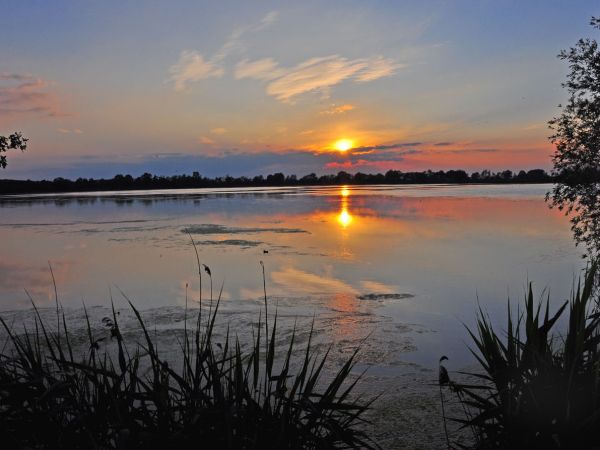 Stawy hodowlane Wielikąt k/Lubomi