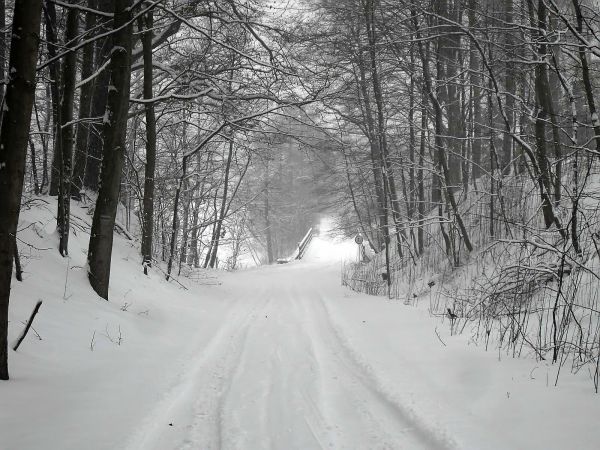 W dole rzeka Wda i most  w Młyńsku