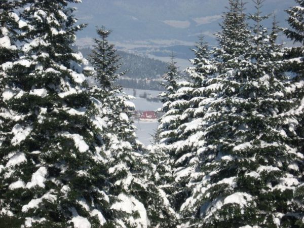 zdjecie Siekierczyna