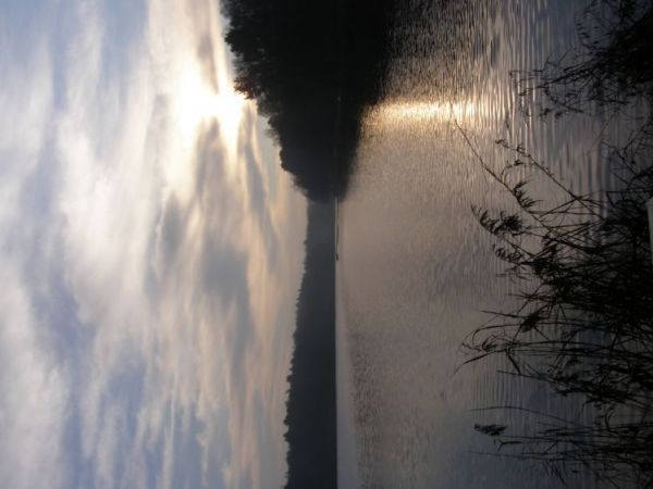 zdjecie Zalesie Górne