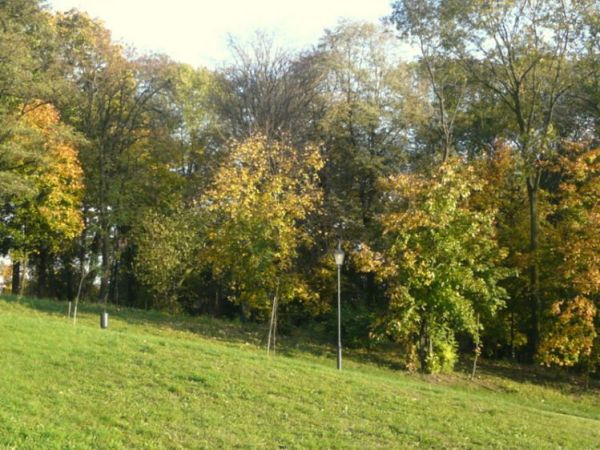 Park Piszczele