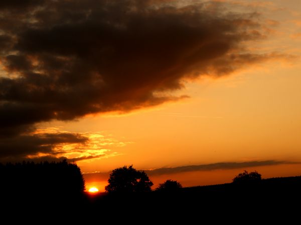 zdjecie Szalejów Górny