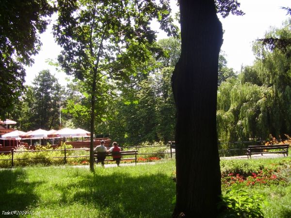 zdjecie Bolesławiec