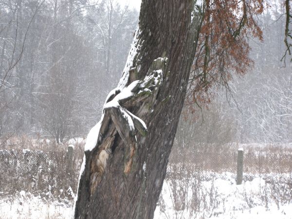 zdjecie Wola Wężykowa