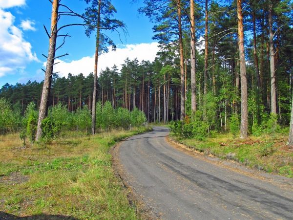 W drodze z Czarnej Wody do Wiecka