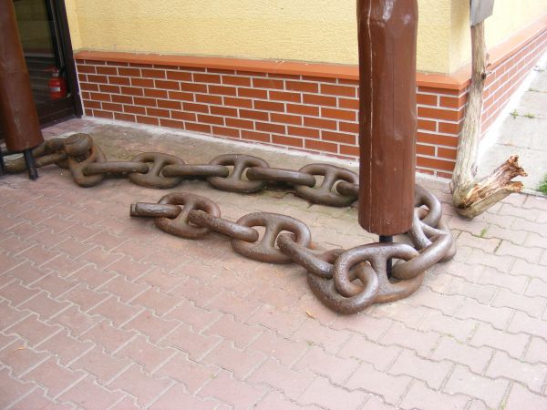 Muzeum Przyrodnicze WPN.