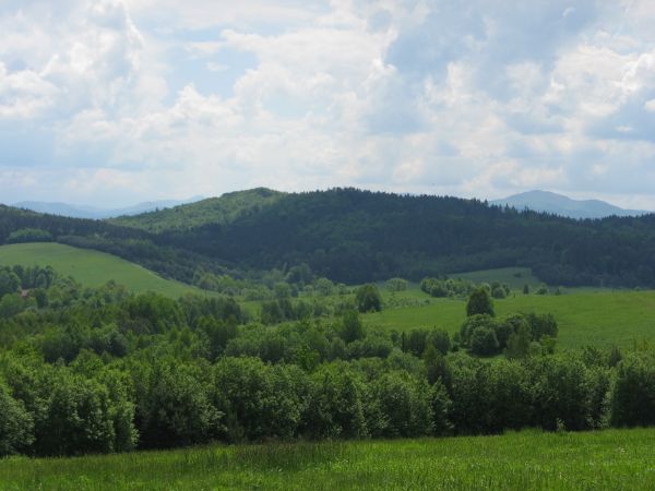 a z tej wierzchowiny szczyty: Markowska - 748m npm a hen, na prawo Chryszczata - 997m npm. - a może i Horb - 709m npm. Pewnie też i wszyscy wiedzą, że hen - hen
