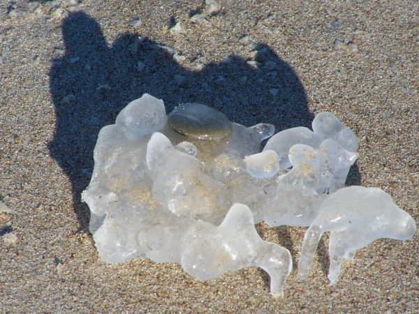 Pobierowo-Borowiak-impresje-zapraszamy na wypoczynek!!!