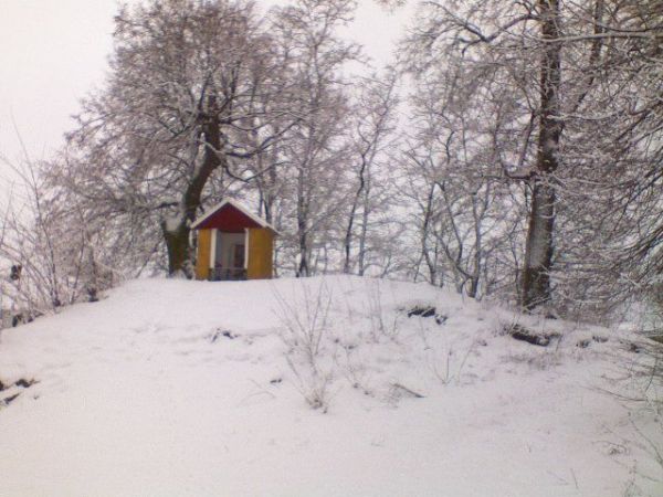 zdjecie Miękisz Stary