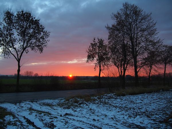 Przy ulicy Sadowskiego w Dąbrówce Wielkiej.