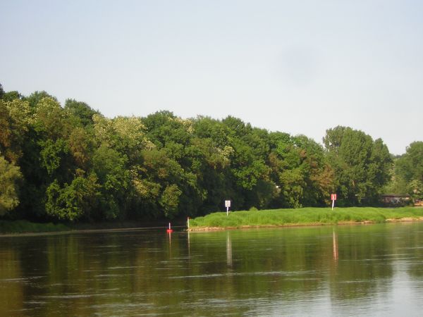 zdjecie Sulechów