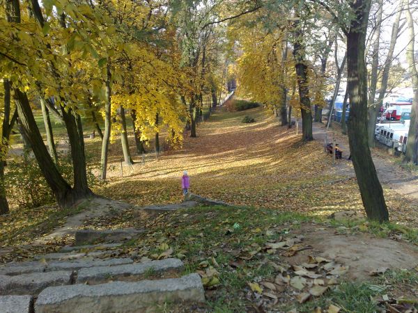 Widok na planty z Fiszgórki