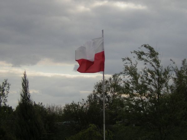 zdjecie Sulechów