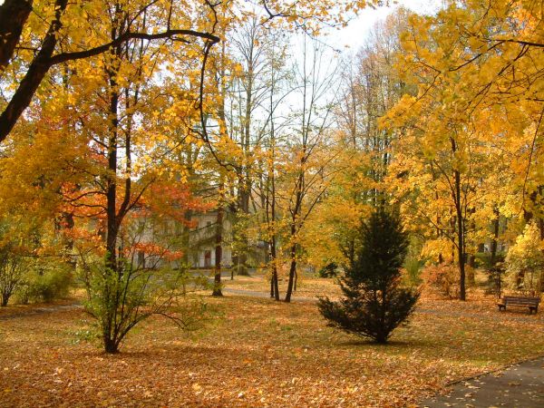 zdjecie Lądek-Zdrój